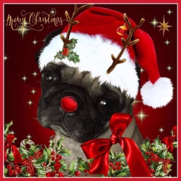 Meet your Posher, Sonja - Picture 1 of 1